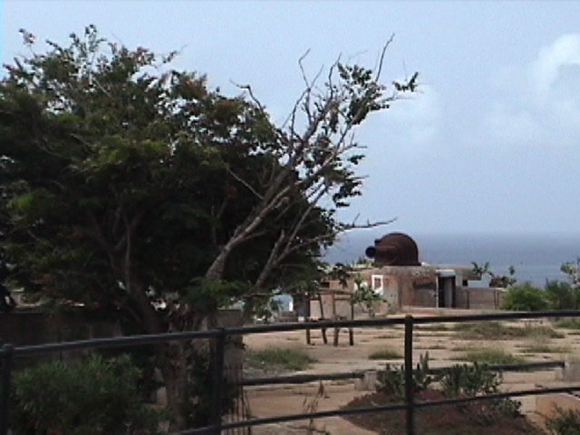 CannonGoree