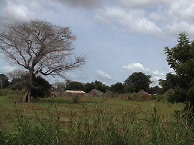 AfricanVillage2