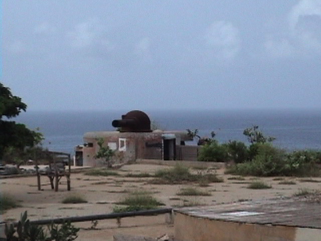 CannonCloseupGoree