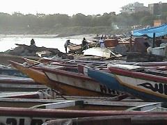 FishingBoats.JPG