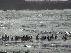 PeopleinOcean